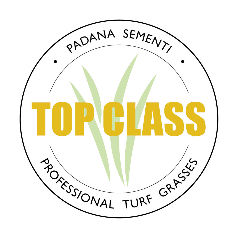 Top Class Padana Sementi